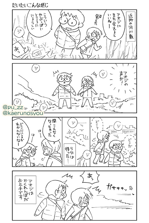 【終了】とりさんぽ・2022-2 アオジ【期間限定】