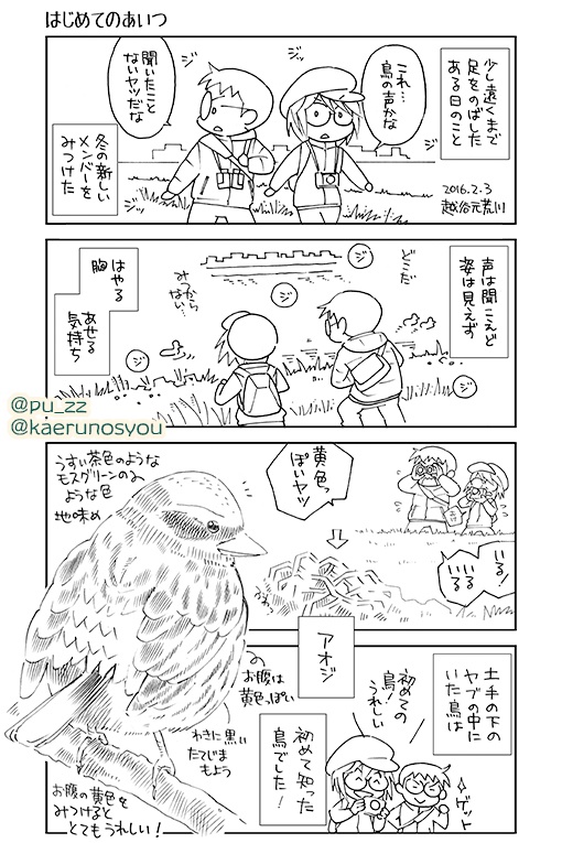 【終了】とりさんぽ・2022-2 アオジ【期間限定】