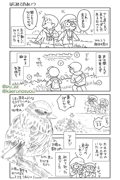 とりさんぽ総集編①