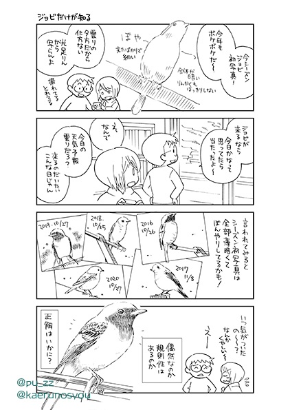 とりさんぽ総集編①