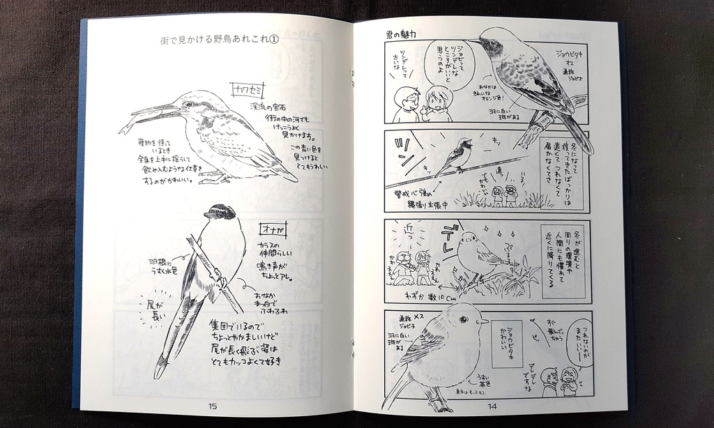 とりさんぽ総集編①