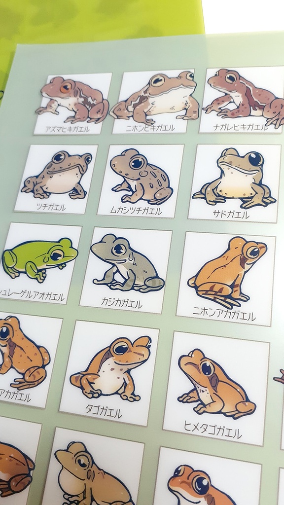 【完売】クリアファイルA4「日本のカエル52」【新作あり】