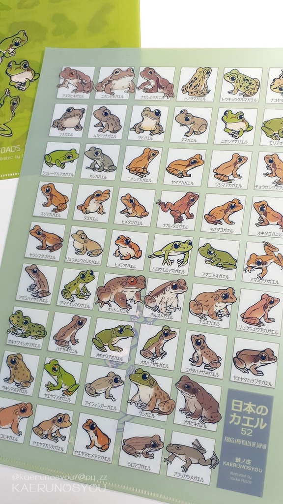 【完売】クリアファイルA4「日本のカエル52」【新作あり】