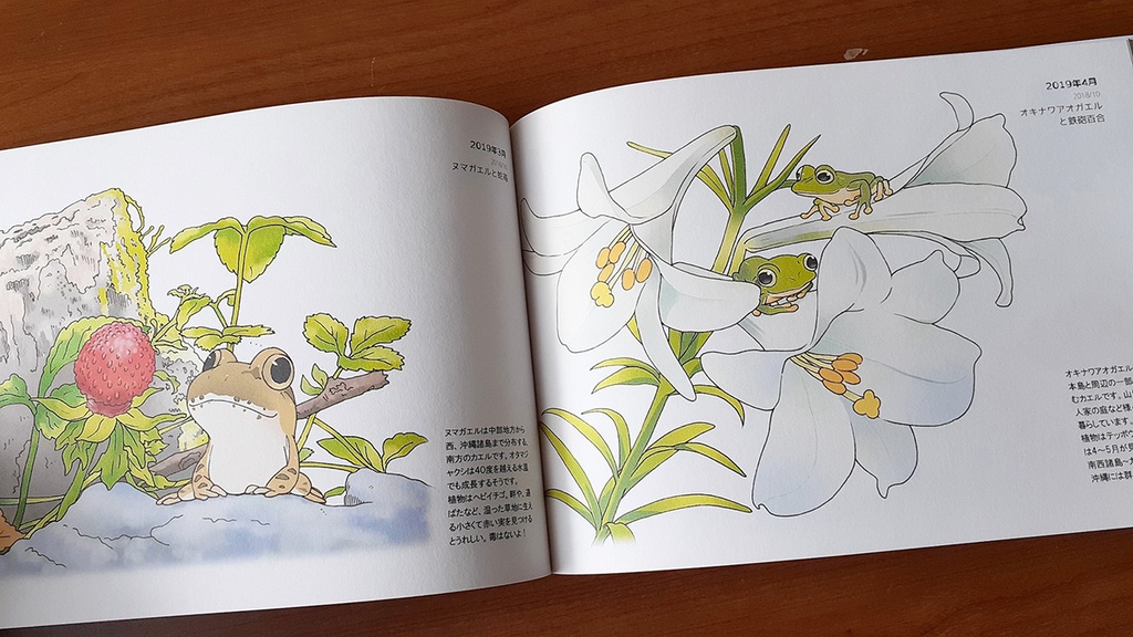 画集『カエルのいる景色』