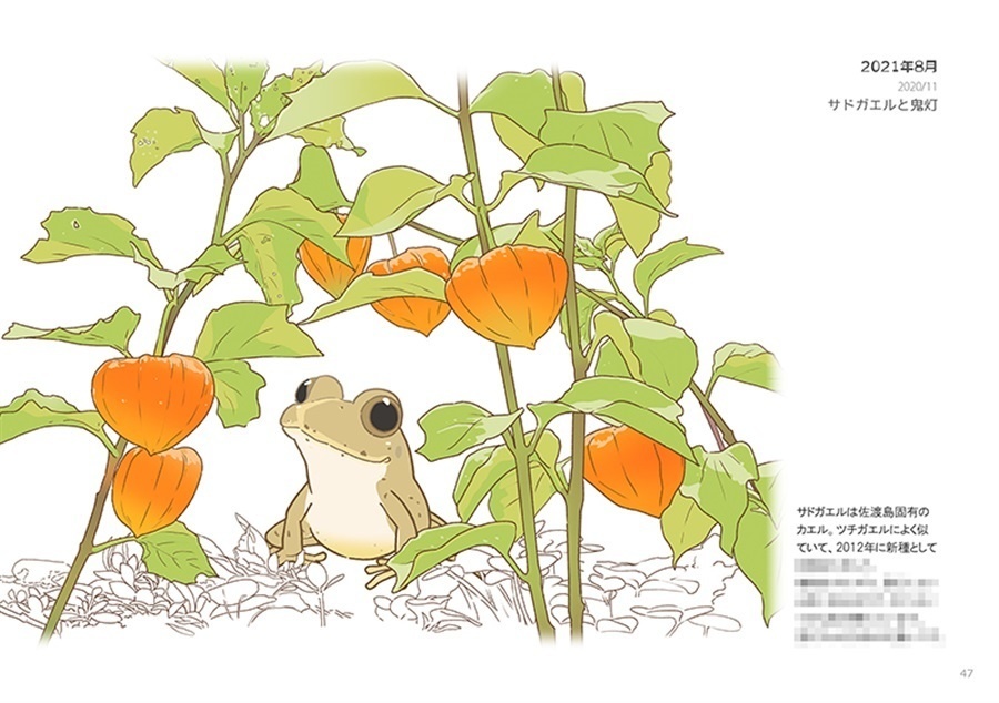 画集『カエルのいる景色』