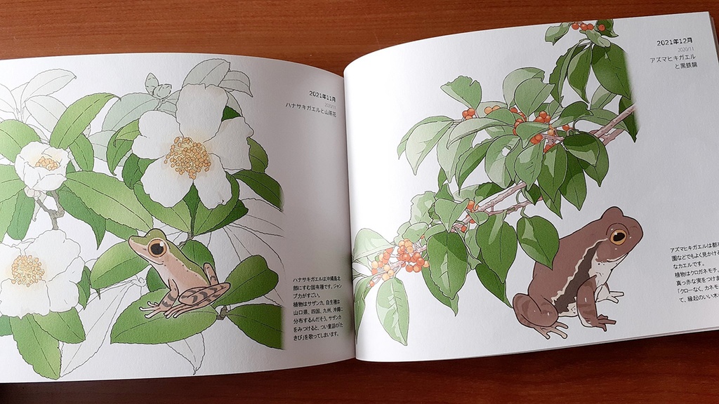 画集『カエルのいる景色』