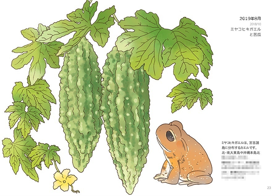 画集『カエルのいる景色』