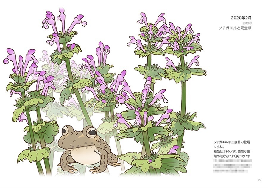 画集『カエルのいる景色』