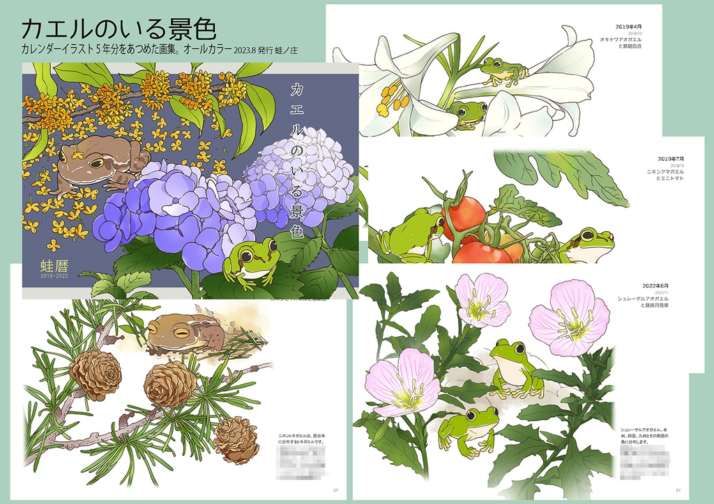画集『カエルのいる景色』