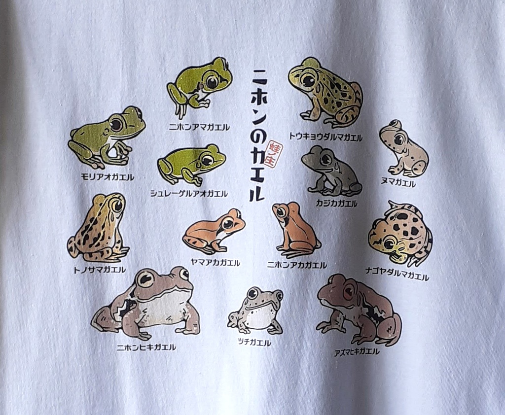 Tシャツ-日本の蛙