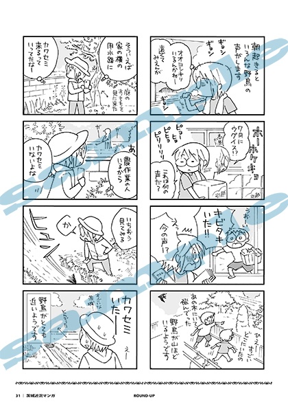 蛙ノ庄フリーペーパーまとめ本