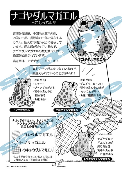 蛙ノ庄フリーペーパーまとめ本