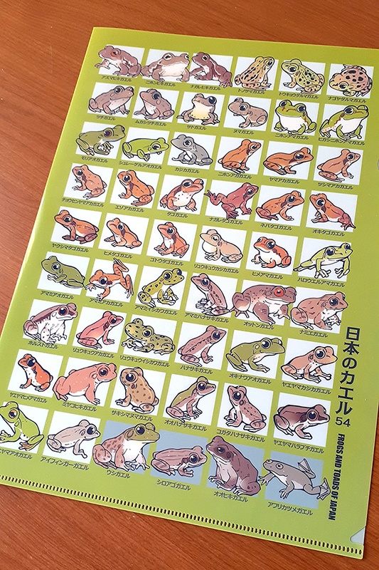 日本のカエル54 クリアファイルA4【新作2025】