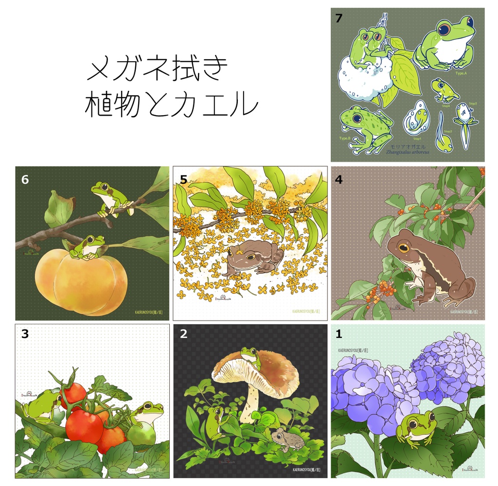 メガネ拭き-まとめ(7種)