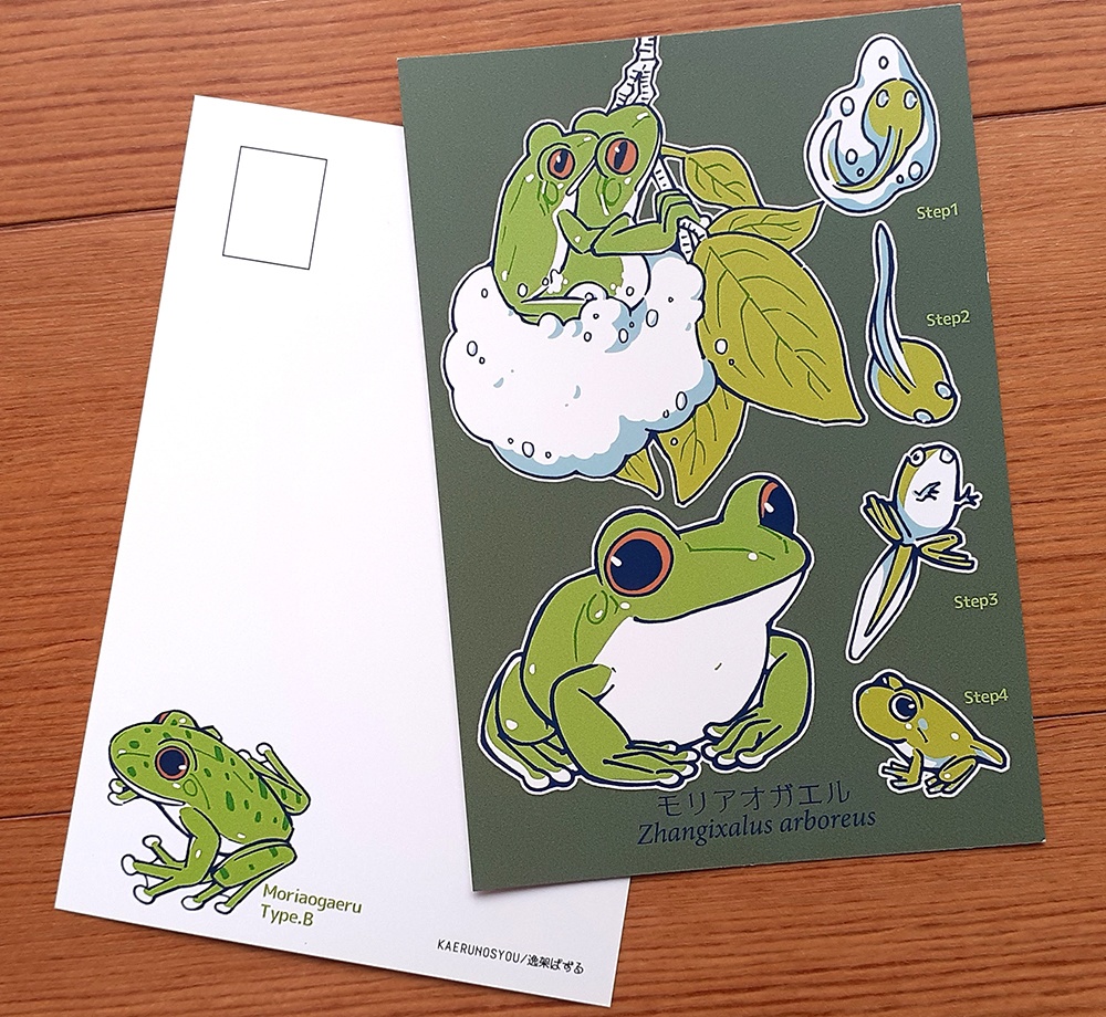 ポストカード-まとめ(5種)