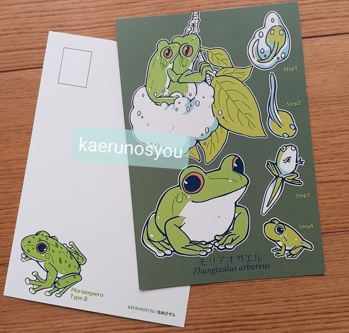 【準備中】ポストカード-まとめ