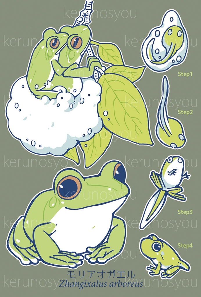 ポストカード-まとめ(5種)