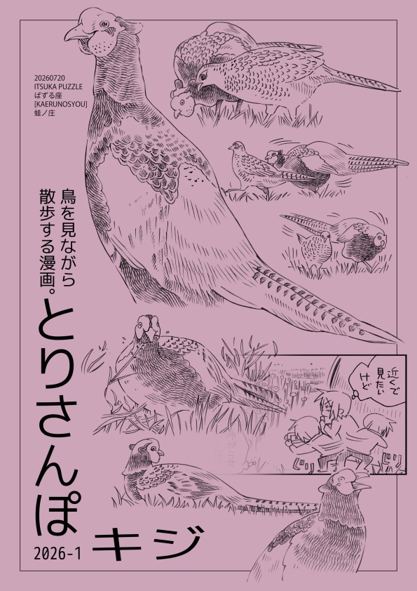 とりさんぽ・2026-1 キジ