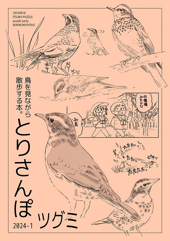 とりさんぽ・2024-1 ツグミ