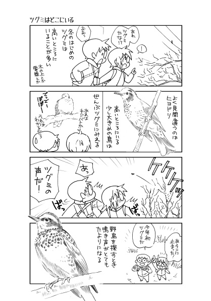 【終了】とりさんぽ・2024-1 ツグミ【期間限定】