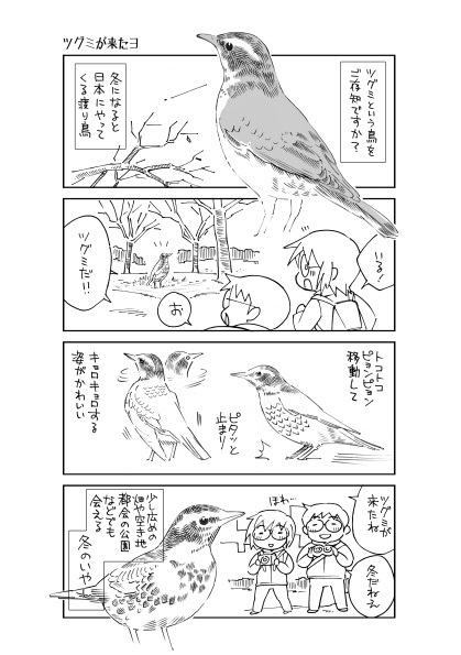 【終了】とりさんぽ・2024-1 ツグミ【期間限定】