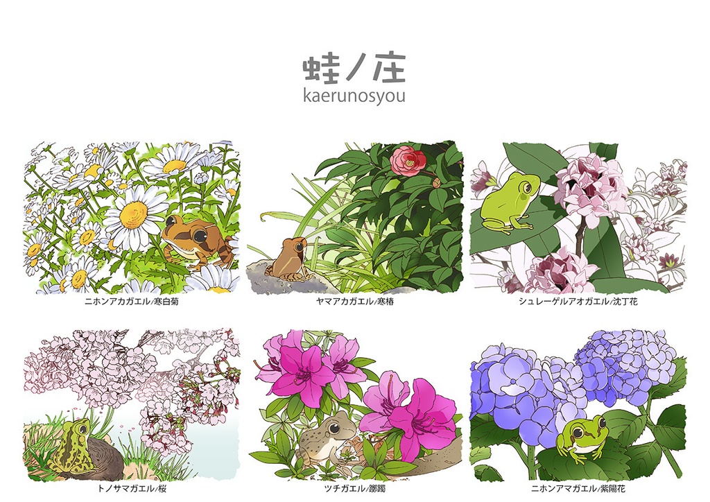 蛙暦2018 ポスター