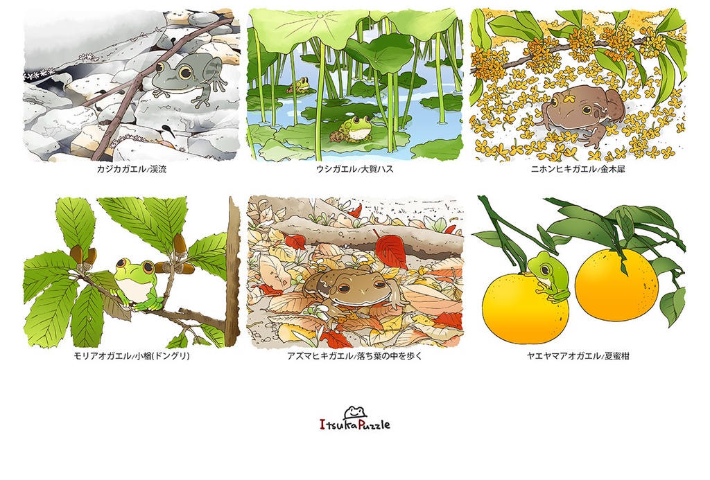 蛙暦2018 ポスター