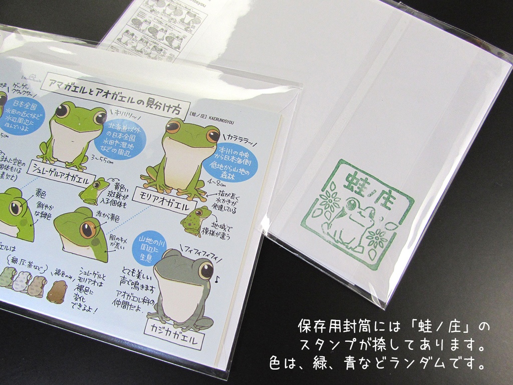 「カエルの見分け方」ポストカードセット