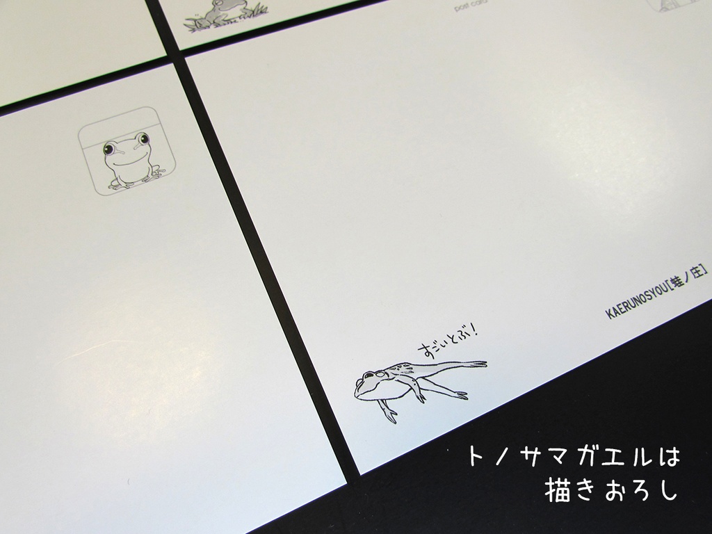 「カエルの見分け方」ポストカードセット