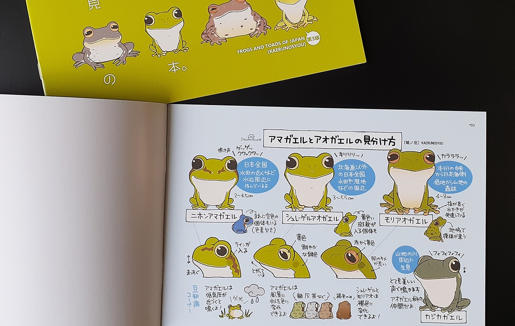 カエルの見分け方の本。第4販