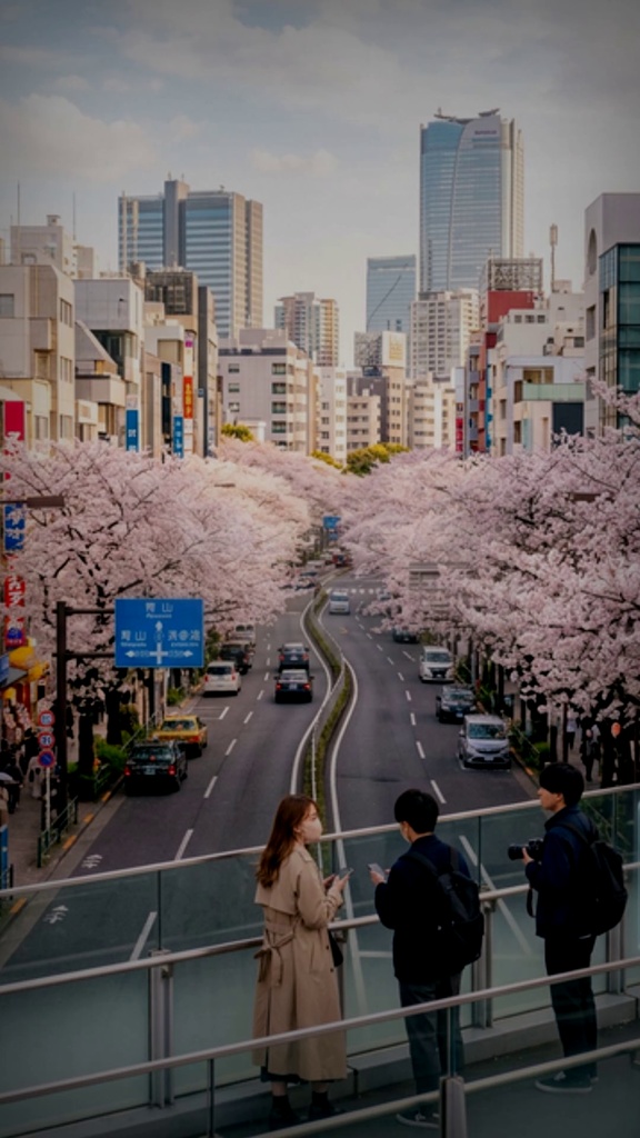 【オリジナル曲】未来からの通知