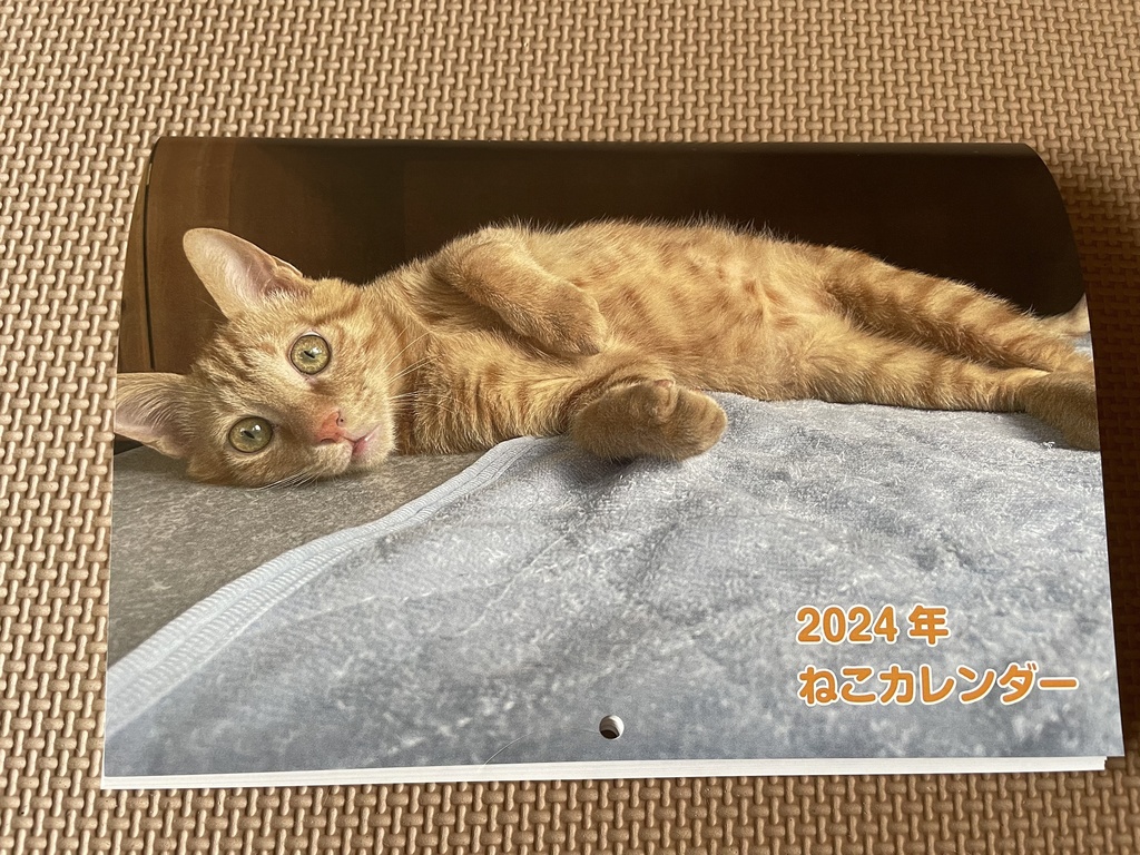 保護猫チャリティーカレンダー2024年