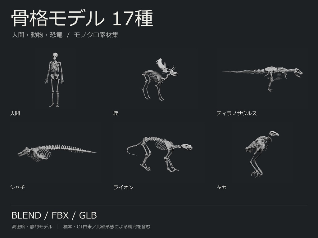 人間・動物・恐竜の骨格17種セット（関節非可動版）｜BLEND・FBX・GLB
