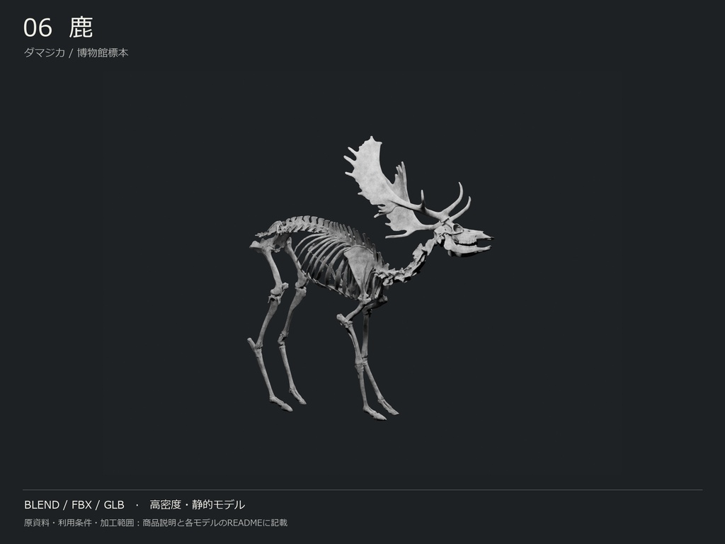 人間・動物・恐竜の骨格17種セット(関節非可動版)|BLEND・FBX・GLB