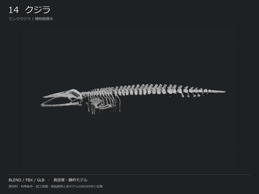 人間・動物・恐竜の骨格17種セット(関節非可動版)|BLEND・FBX・GLB