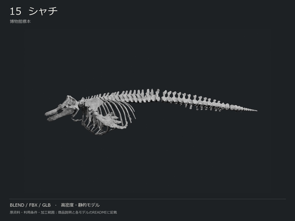 人間・動物・恐竜の骨格17種セット(関節非可動版)|BLEND・FBX・GLB