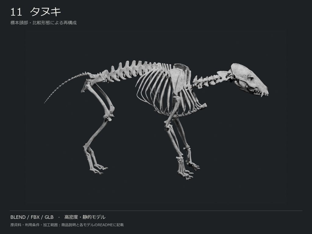 人間・動物・恐竜の骨格17種セット(関節非可動版)|BLEND・FBX・GLB