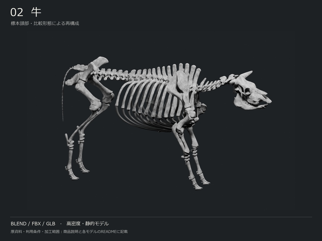 人間・動物・恐竜の骨格17種セット(関節非可動版)|BLEND・FBX・GLB
