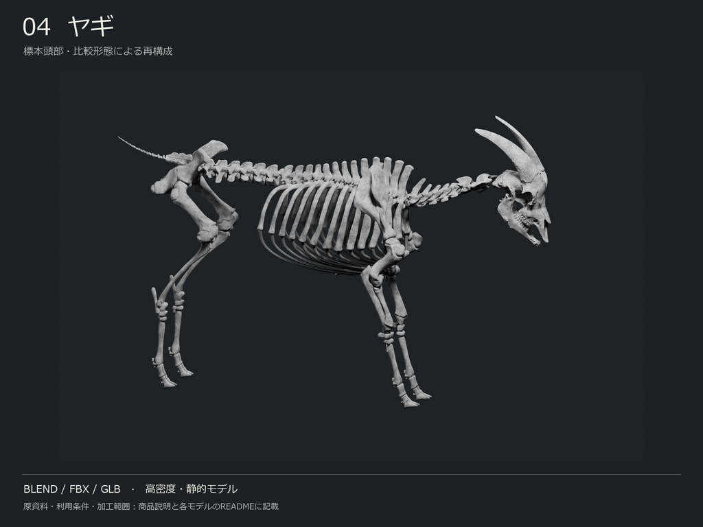 人間・動物・恐竜の骨格17種セット(関節非可動版)|BLEND・FBX・GLB