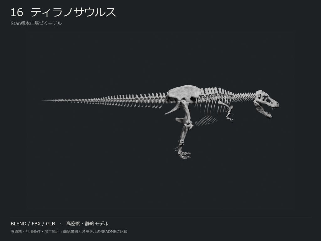 人間・動物・恐竜の骨格17種セット(関節非可動版)|BLEND・FBX・GLB