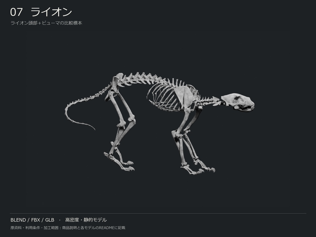 人間・動物・恐竜の骨格17種セット(関節非可動版)|BLEND・FBX・GLB