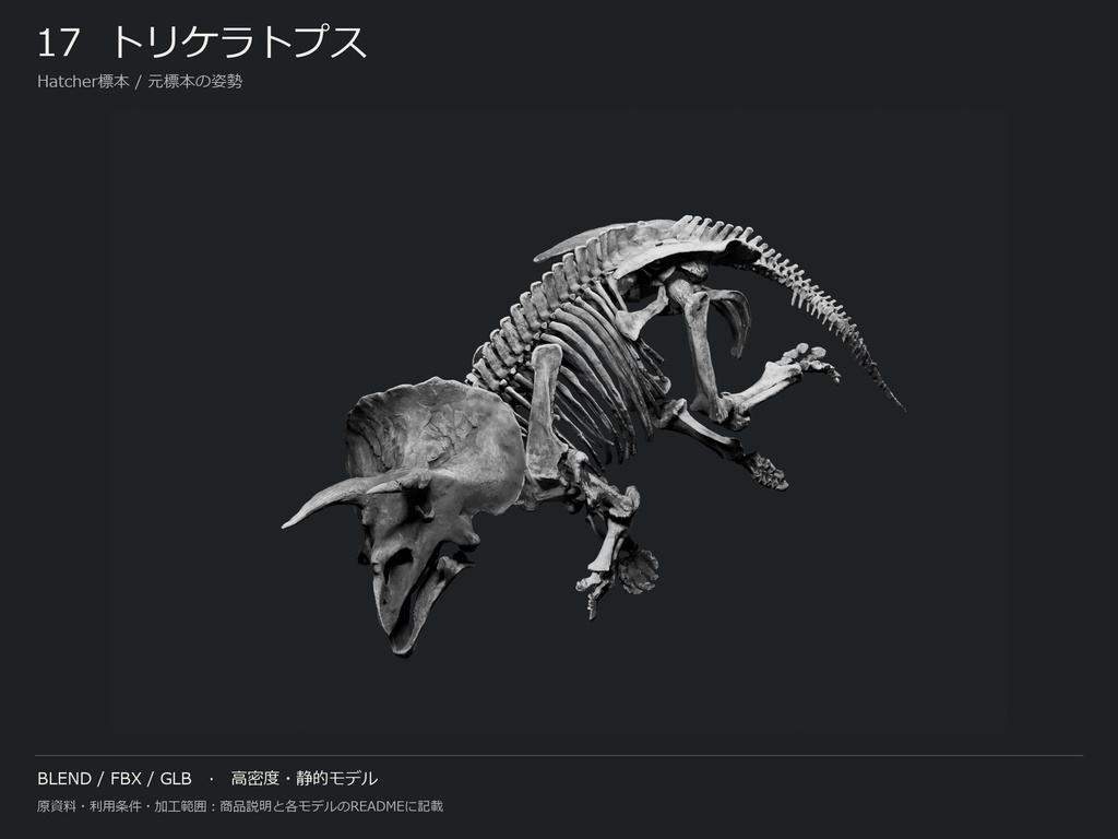 人間・動物・恐竜の骨格17種セット(関節非可動版)|BLEND・FBX・GLB