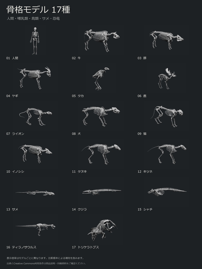 人間・動物・恐竜の骨格17種セット(関節非可動版)|BLEND・FBX・GLB