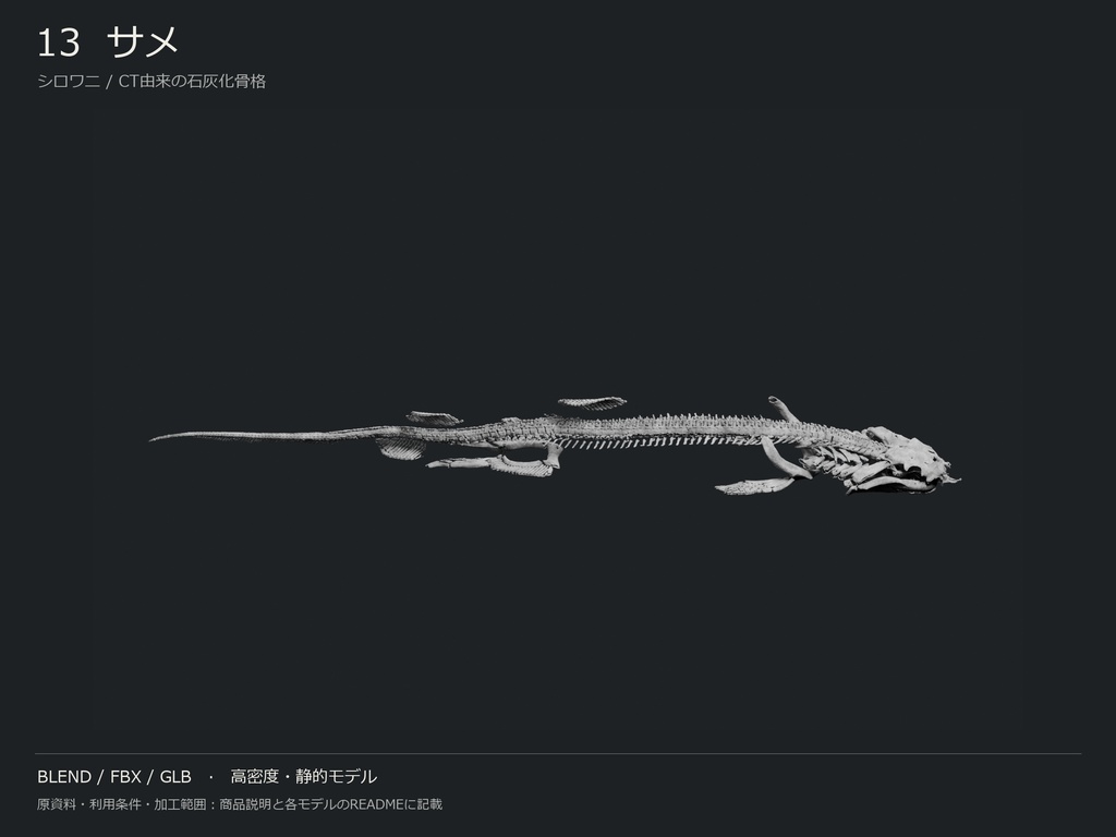 人間・動物・恐竜の骨格17種セット(関節非可動版)|BLEND・FBX・GLB