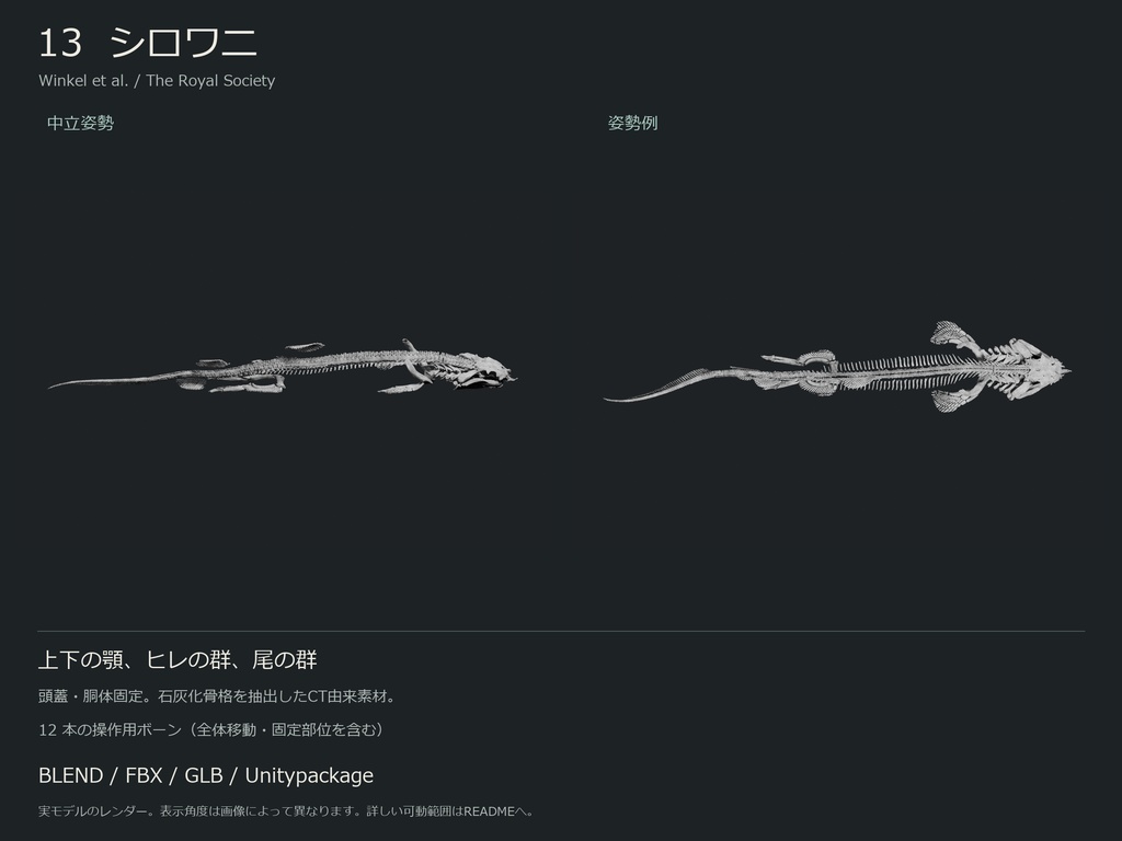 人間・動物・恐竜の骨格17種セット(部位可動版)|BLEND・FBX・GLB・Unity