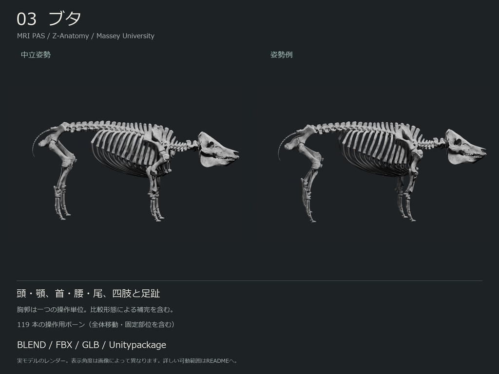 人間・動物・恐竜の骨格17種セット(部位可動版)|BLEND・FBX・GLB・Unity