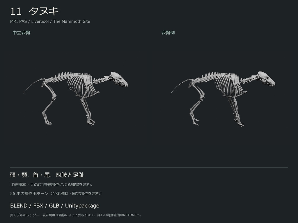人間・動物・恐竜の骨格17種セット(部位可動版)|BLEND・FBX・GLB・Unity