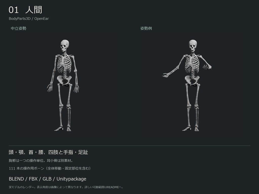 人間・動物・恐竜の骨格17種セット(部位可動版)|BLEND・FBX・GLB・Unity
