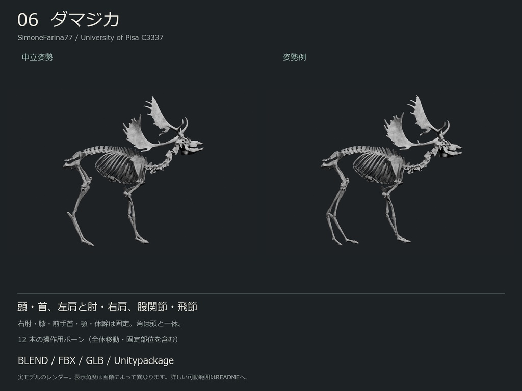 人間・動物・恐竜の骨格17種セット(部位可動版)|BLEND・FBX・GLB・Unity