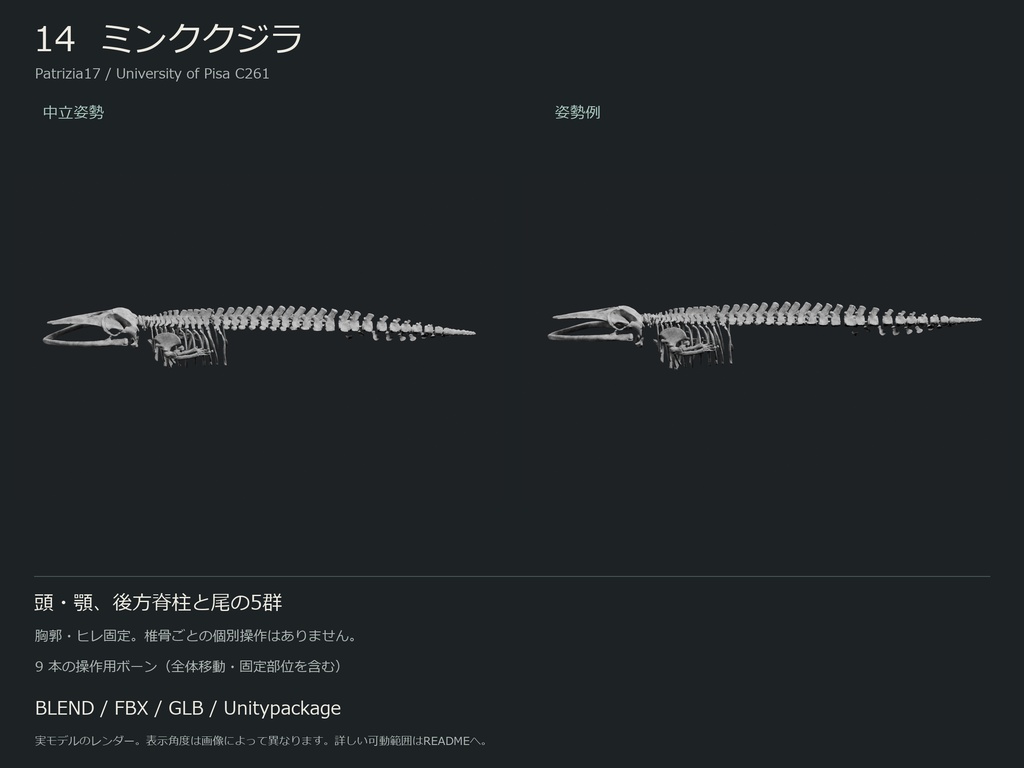 人間・動物・恐竜の骨格17種セット(部位可動版)|BLEND・FBX・GLB・Unity